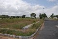 Magnolia-Lasya Phase-1 (Plots with 60 feet Inside Road)