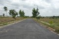 Magnolia-Lasya Phase-1 (60 feet Inside Road) (1)